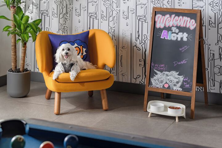 Pet-friendly