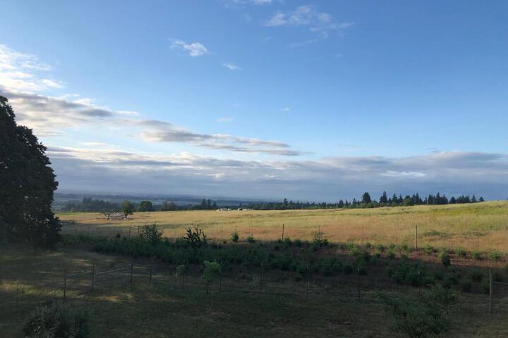 2 Bedroom Suite: Views Private Entrance, EVchgr