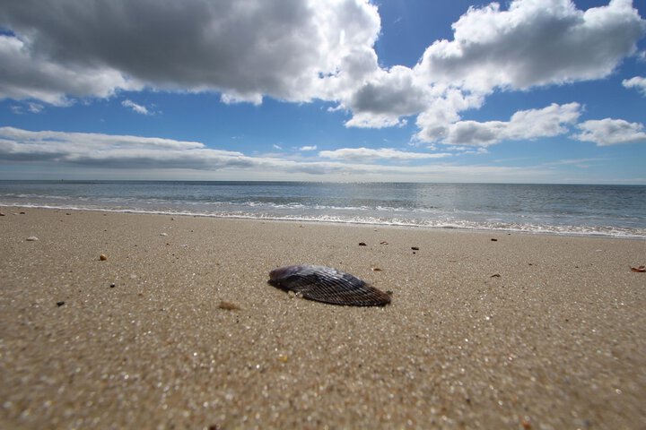 Beach 36 of 49