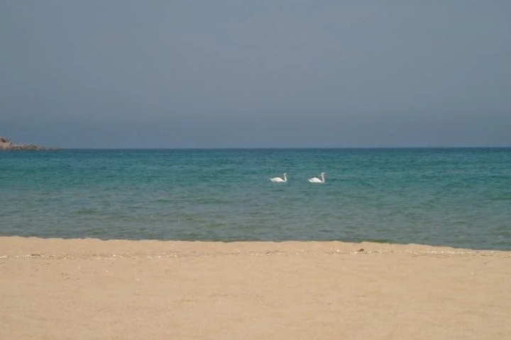 Beach 11 of 23