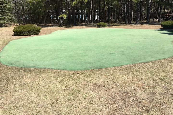 Golf 28 of 62