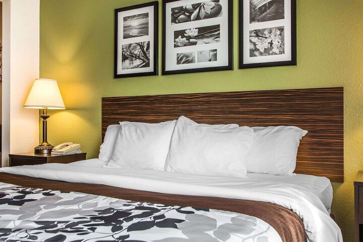1 King Bed (10 of 29)