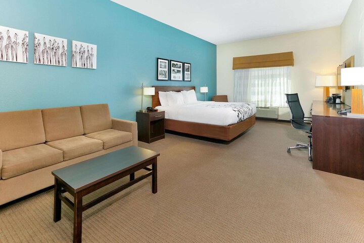 1 King Bed Deluxe Mobility Accessible Suite Roll in Shower (8 of 8)