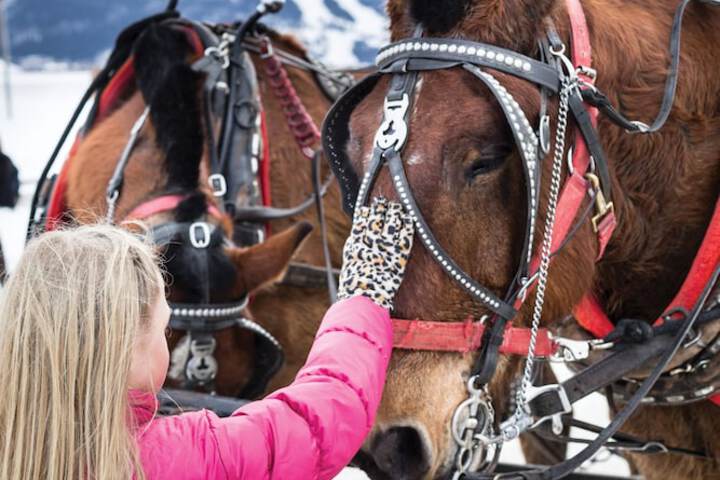 Children's activities