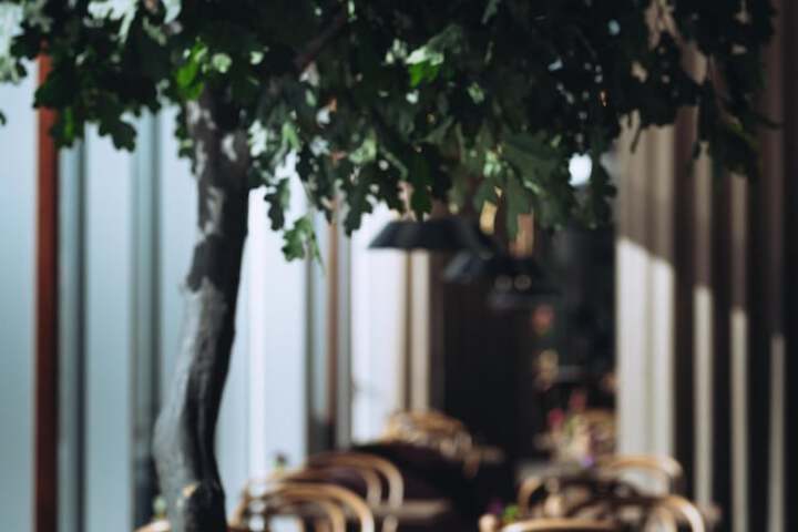Dining 174 of 249