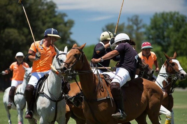 Horseback riding