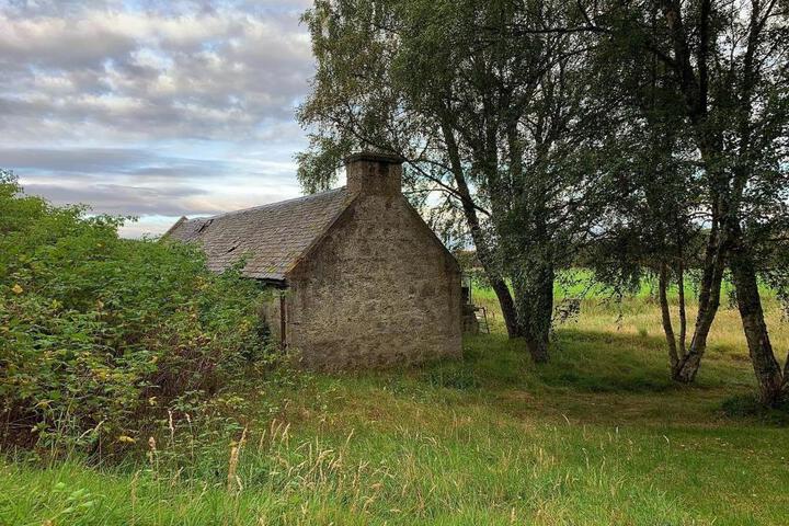 Photo 26