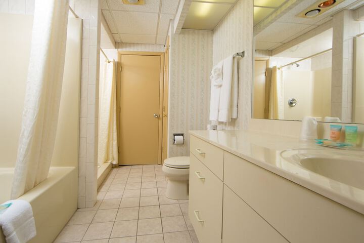 1 Bedroom Efficiency 2 Queen Beds Sofa (2 of 6)