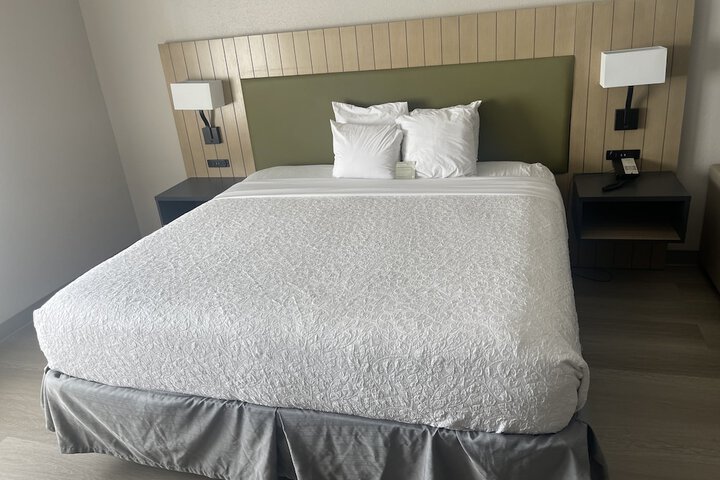 1 King Bed (6 of 25)