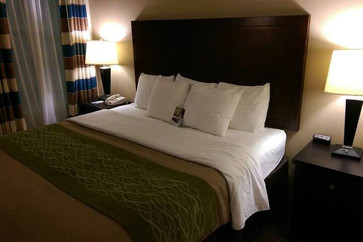1 King Bed (1 of 7)