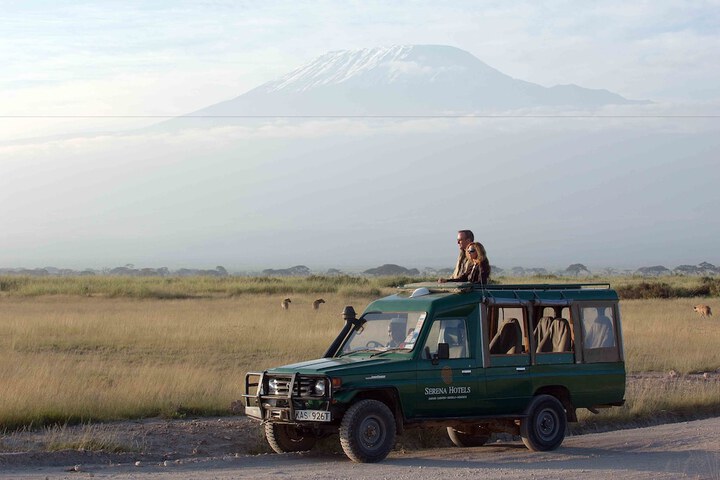 Safari