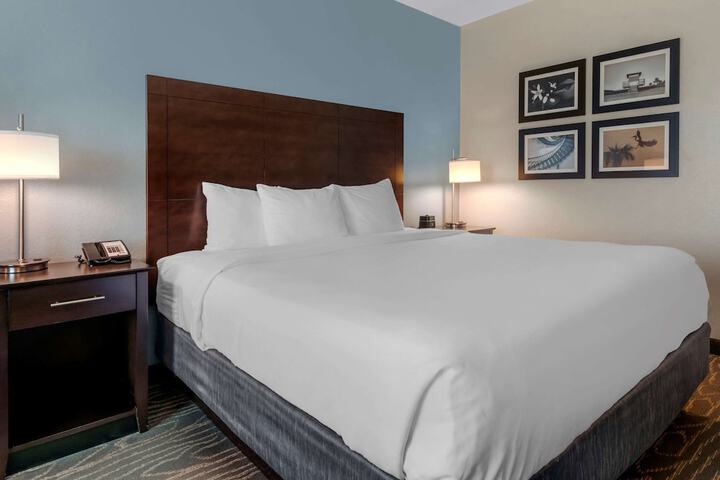 1 King Bed (13 of 19)