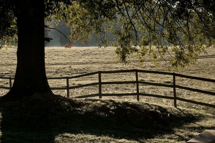 Property Grounds 197 of 299