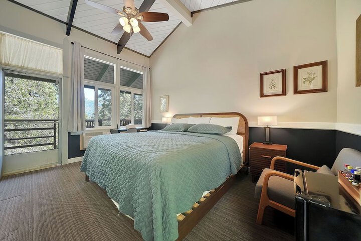 1 King Bed Mountain View (25 of 28)