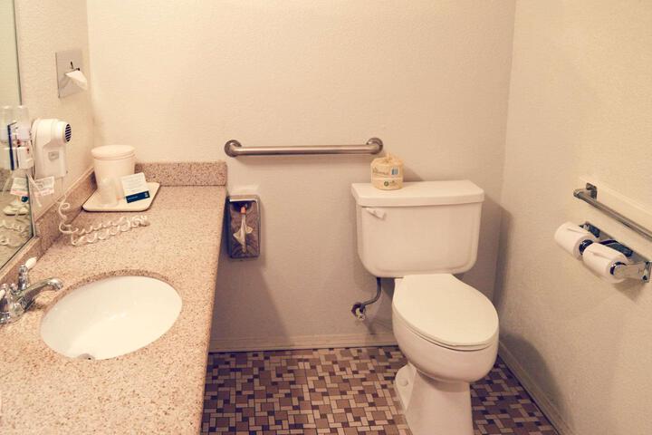 1 Queen Bed Accessible (8 of 12)