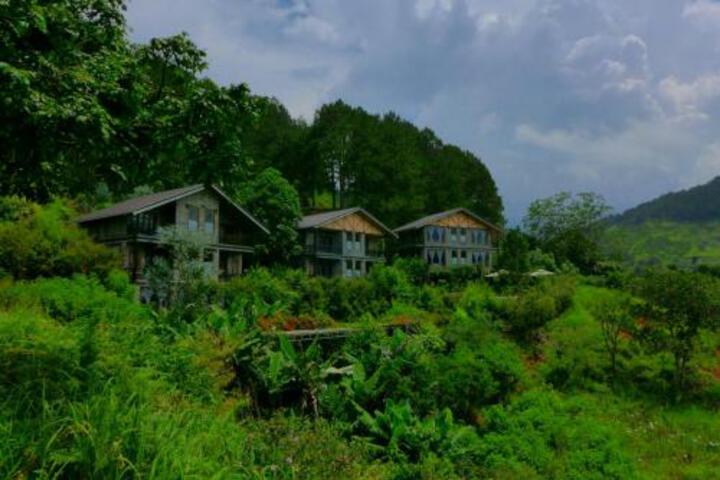 Spa and Wellness Pictures