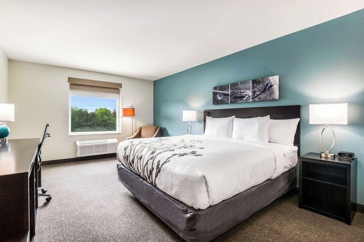 1 King Bed (13 of 16)