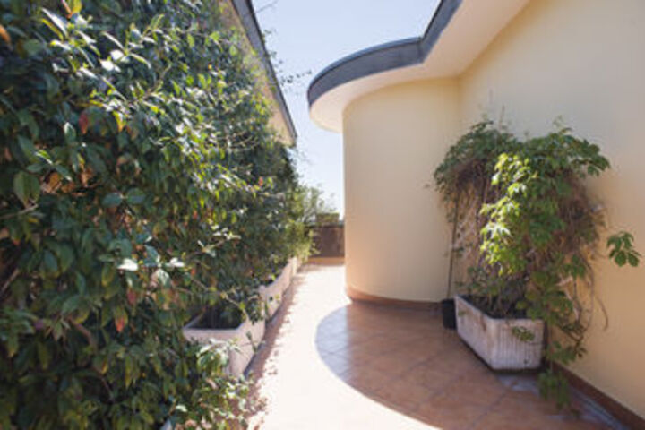 Terrace/Patio 27 of 28