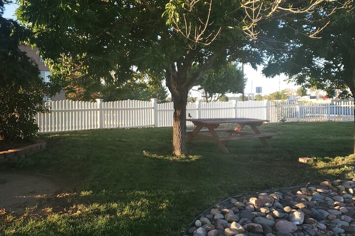 BBQ/picnic area