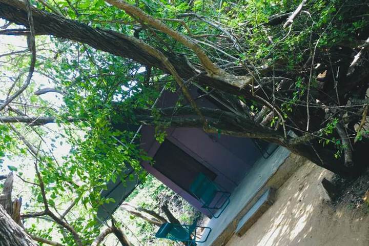 Property Grounds 27 of 41
