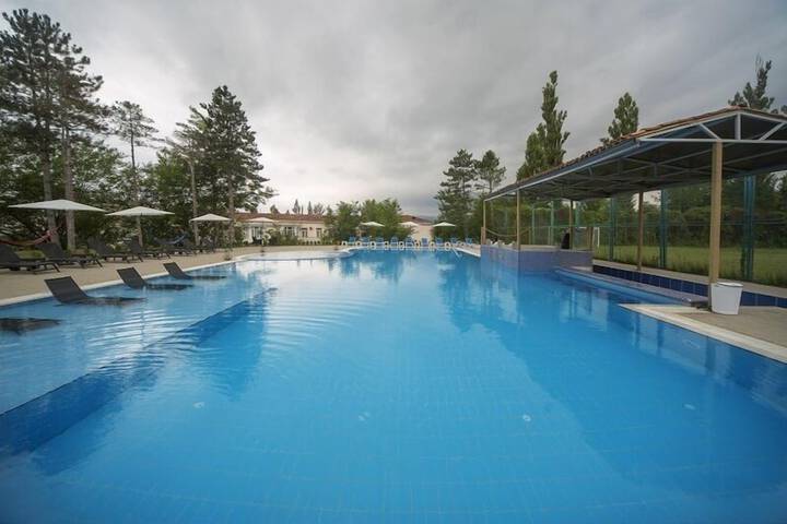 Pool 12 of 43