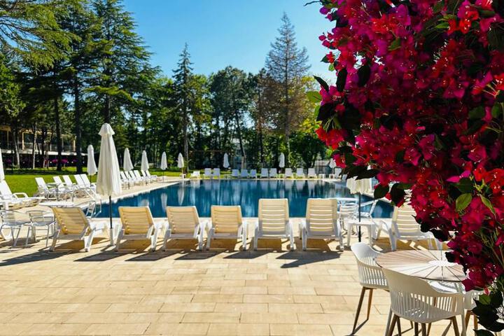 Queen Nelly Park