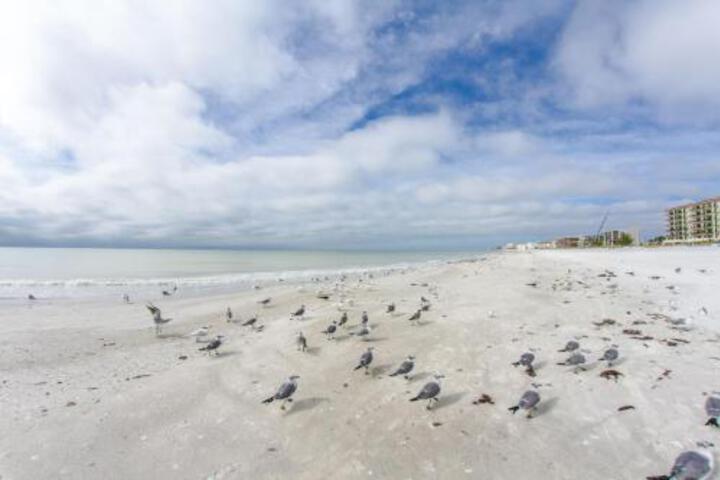 349 Surf Song Resort in St. Petersburg, FL