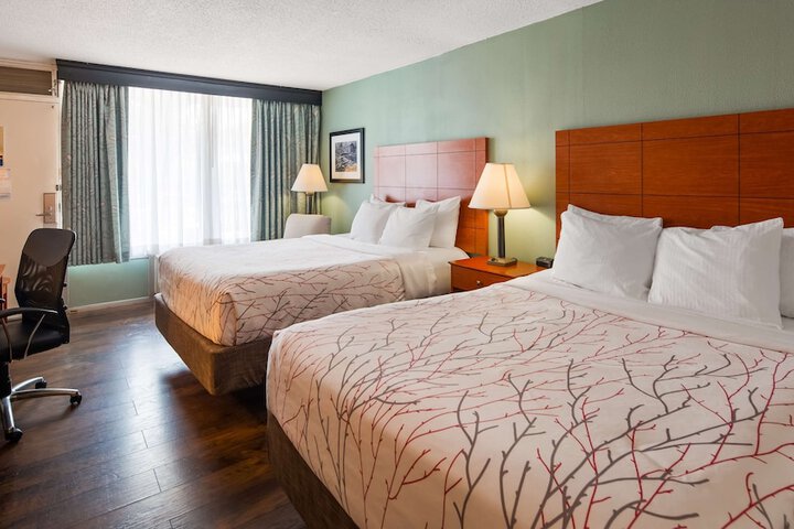 Room 5 of 23