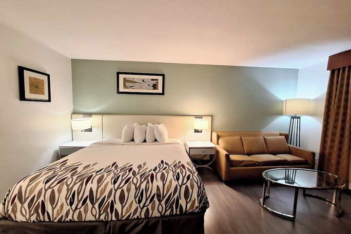 1 King Bed (17 of 19)