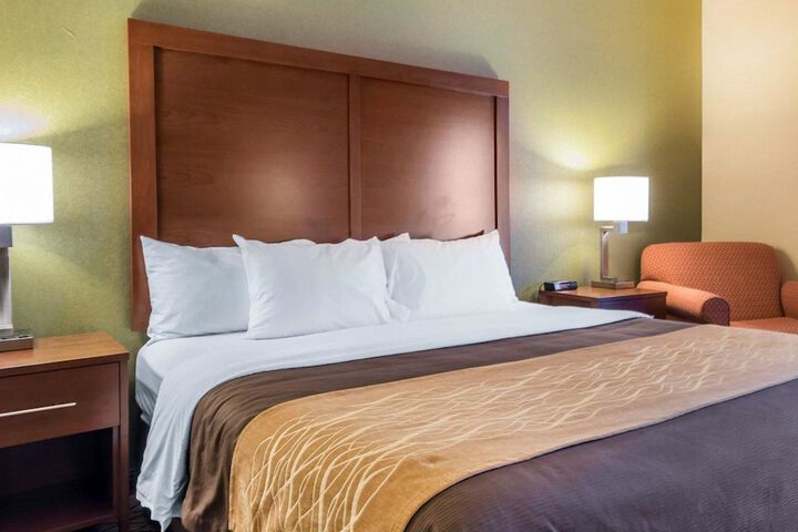 Standard | King Bed (3 of 7)