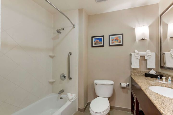 1 King Bed Suite (5 of 16)