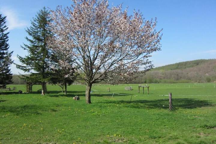 Property Grounds 20 of 40