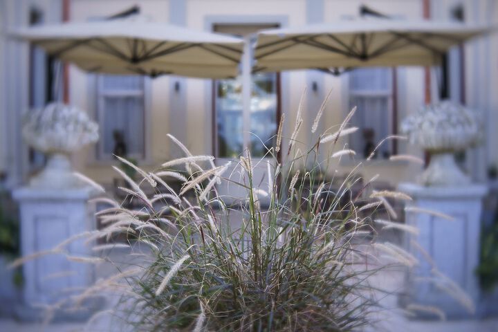 Terrace/Patio 58 of 62