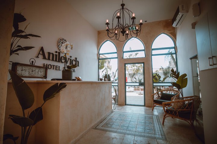 Anilevich Mansion