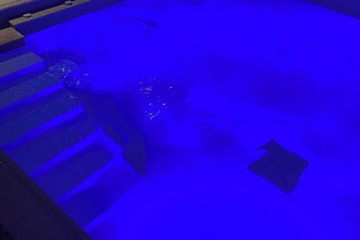 Pool 55 of 117