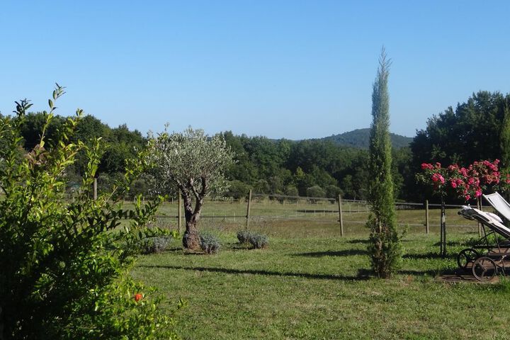 Property Grounds 22 of 27