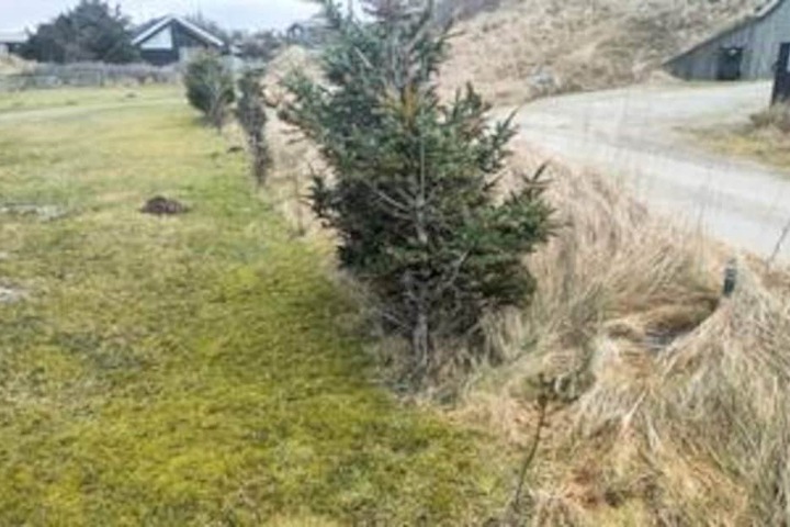 Property Grounds 16 of 29