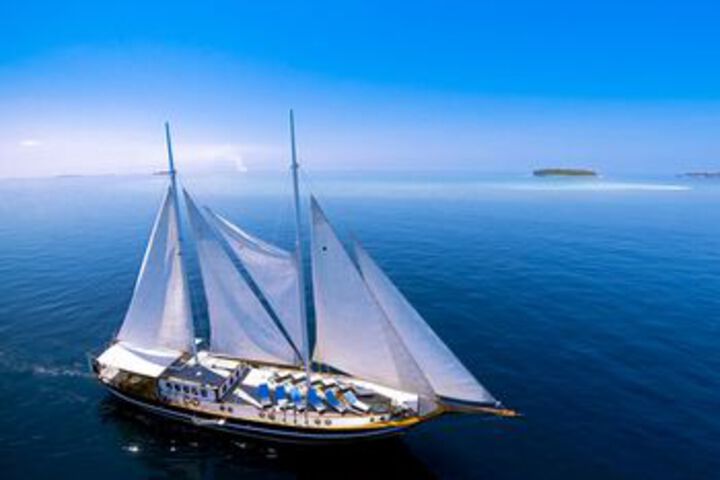 Image of Dream Voyager