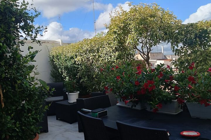 Terrace/Patio 30 of 40