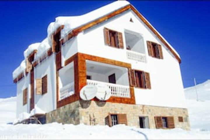 GUDAURI HOTEL RETRO