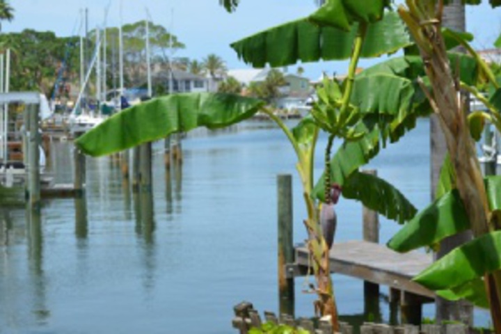 Hotel Exterior 20 of 576