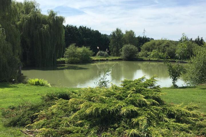 Spa and Wellness Pictures