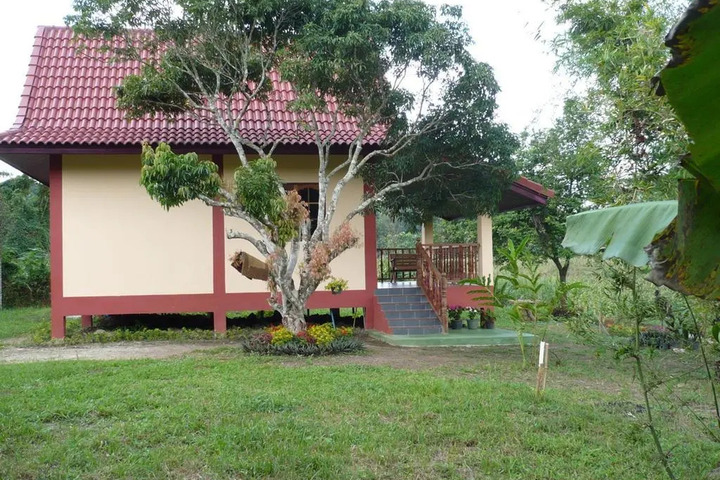 SUANCHA TEA GARDEN
