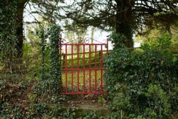 Property Grounds 15 of 19