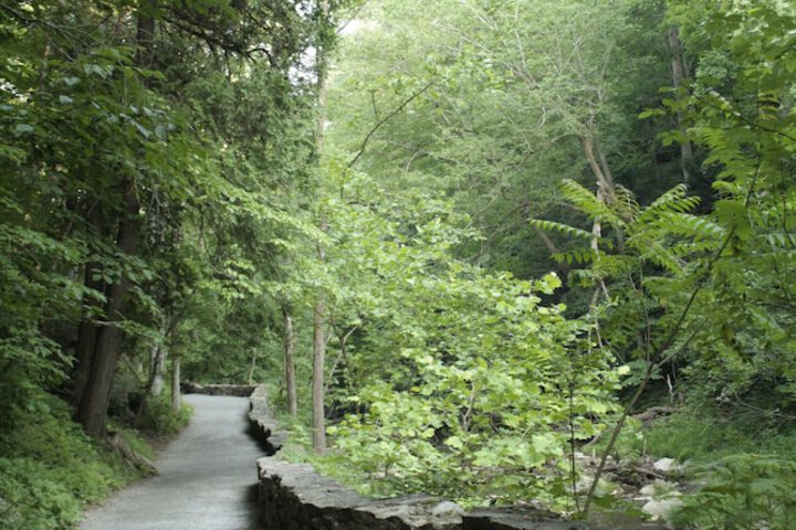 Hiking