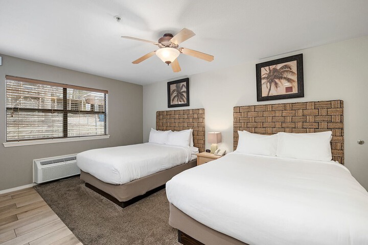 Room 41 of 220