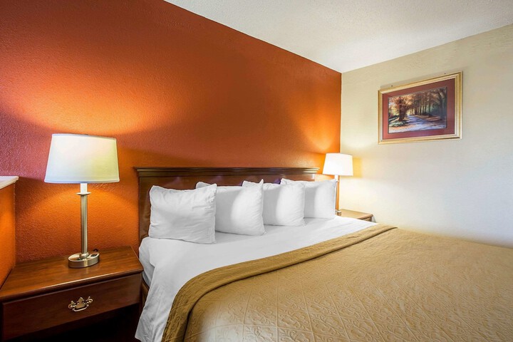 1 King Bed (7 of 10)