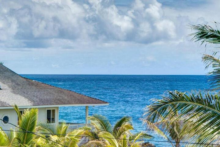 Image of Hawaiian Paradise