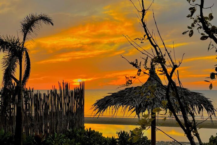 Beach 239 of 254
