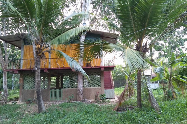 Property Grounds 5 of 6